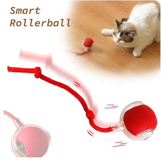 Interactive Rolling Ball Toy for Pets