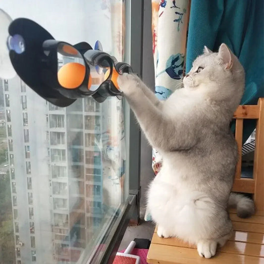 Plastic Sucker Cat Toy Track Ball