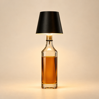 LED Bottle-Insert Decorative Lamp
