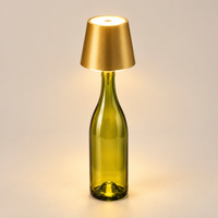 LED Bottle-Insert Decorative Lamp