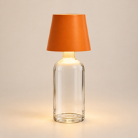 LED Bottle-Insert Decorative Lamp