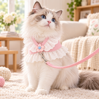Lace Floral Pet Harness and Leash Set