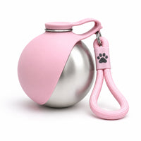 Portable Stainless Steel Dog Water Bottle with Foldable Drinking Bowl