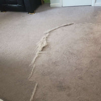 Manual Pet Hair Remover & Lint Cleaner
