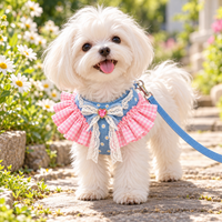 Lace Ruffle Dog Vest Harness and Leash Set for Small Dogs