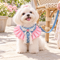 Lace Ruffle Dog Vest Harness and Leash Set for Small Dogs
