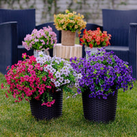 Upgraded High-grade  Material 🌱 Rainproof Lifelike Artificial Flowers With UV-Shield Coating