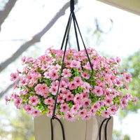 Upgraded High-grade  Material 🌱 Rainproof Lifelike Artificial Flowers With UV-Shield Coating