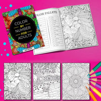 Mindful Adult Coloring Bundle