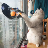 Plastic Sucker Cat Toy Track Ball